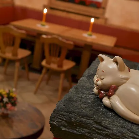 Hotel Garni Costanza 利维尼奥